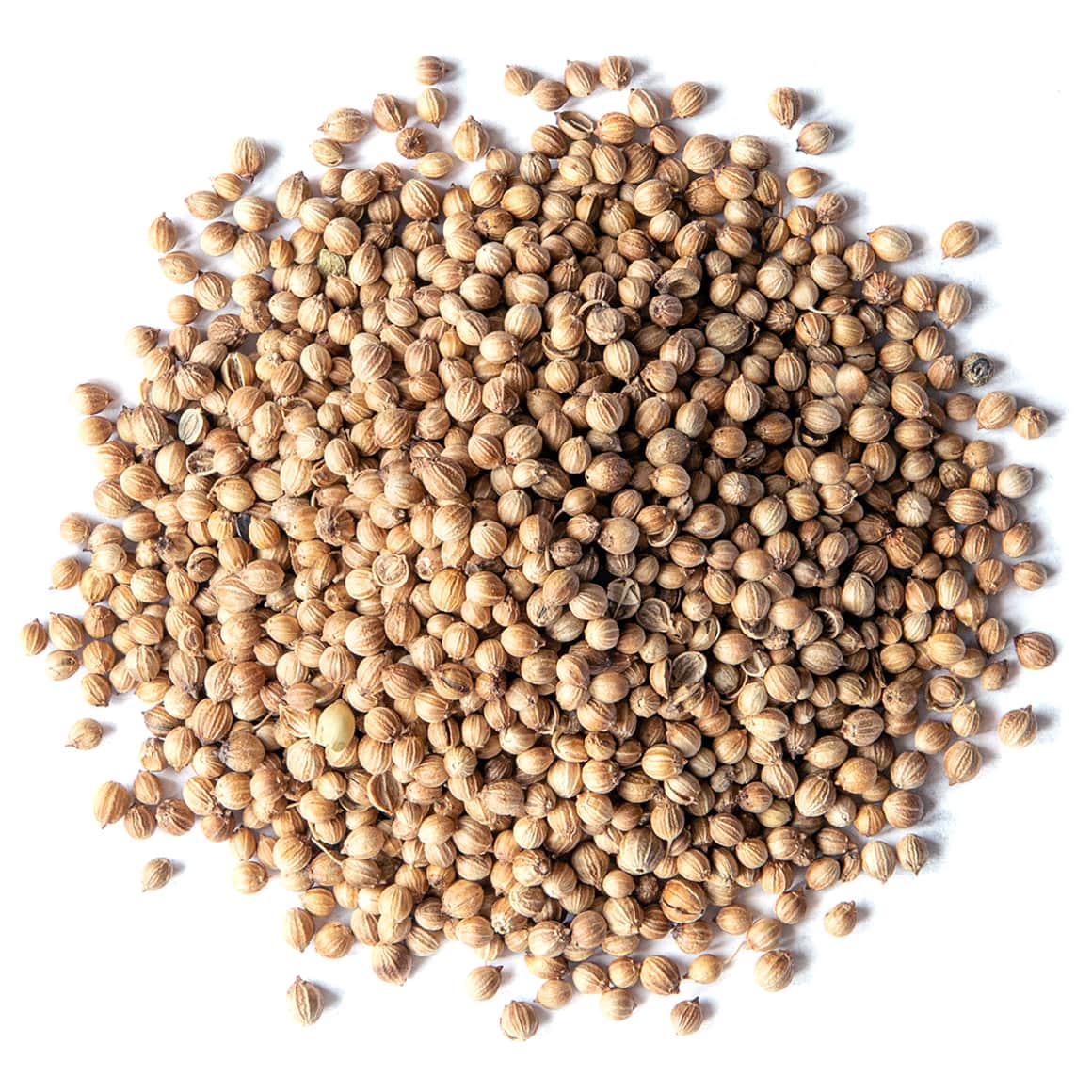Coriander seeds